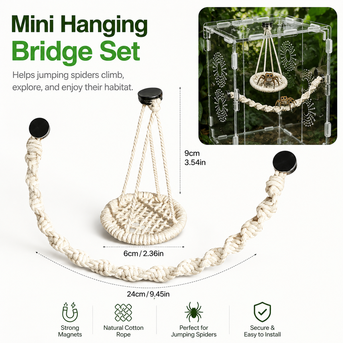 🌿 Hangable Jumping Spider Climbing Bridge & Swing | Enclosure Habitat Ladder 🕷️
