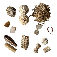 Set D : Classic Nature Mix